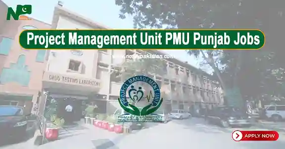 Project Management Unit PMU Punjab Jobs 2024