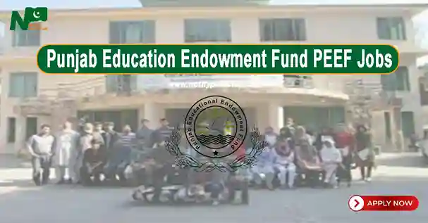 Punjab Education Endowment Fund PEEF Jobs 2024