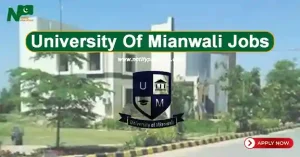 University Of Mianwali Jobs