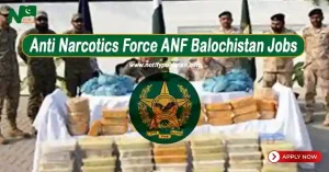 Anti Narcotics Force ANF Balochistan Jobs
