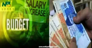 Budget 2024-25 Major 25% Salary Increase for Government Employees
