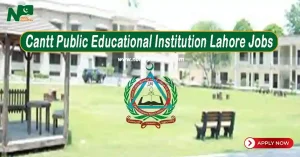 Cantt Public Educational Institution Lahore Jobs