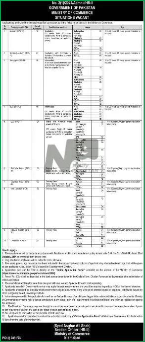 Ministry Of Commerce Jobs 2024 Advertisement