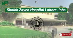 Shaikh Zayed Hospital Lahore Jobs