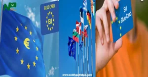 Comprehensive Guide to European Work Visas EU Blue Card and National Options