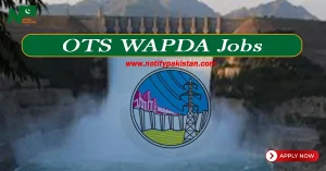 OTS WAPDA Jobs