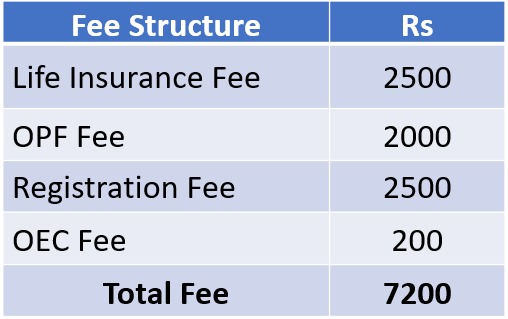 UAE Work Visa Protector Fee for October 2024