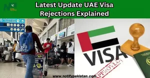 Latest Update UAE Visa Rejections Explained No Targeted Ban on Pakistani Cities, Says Ambassador