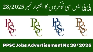 PPSC Jobs Advertisement No 282025