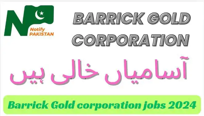 Pakistan Barrick Gold Corporation Jobs 2024