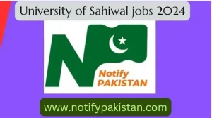 University Of Sahiwal Jobs 2024