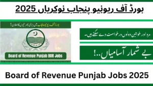 Board of Revenue Punjab Jobs 2025