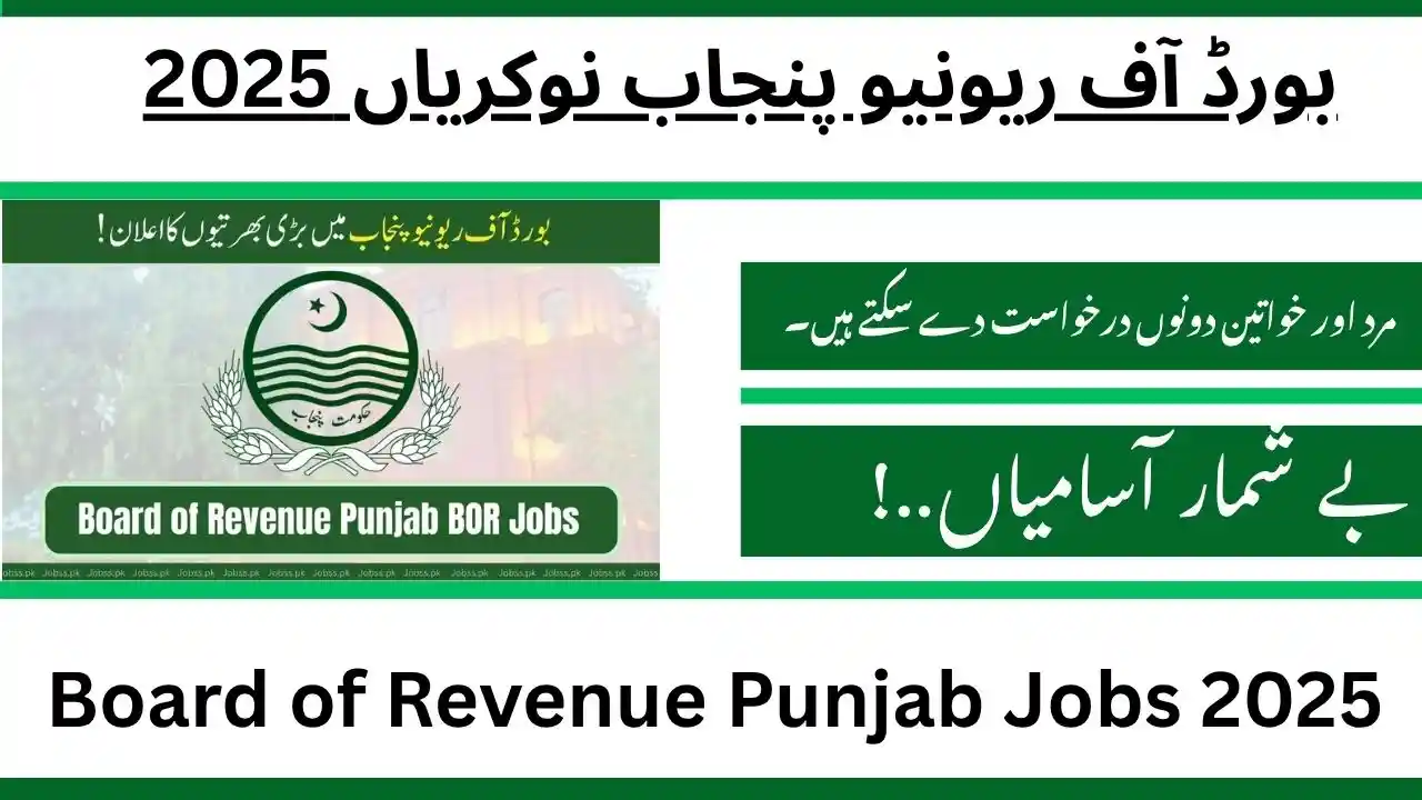 Board of Revenue Punjab Jobs 2025