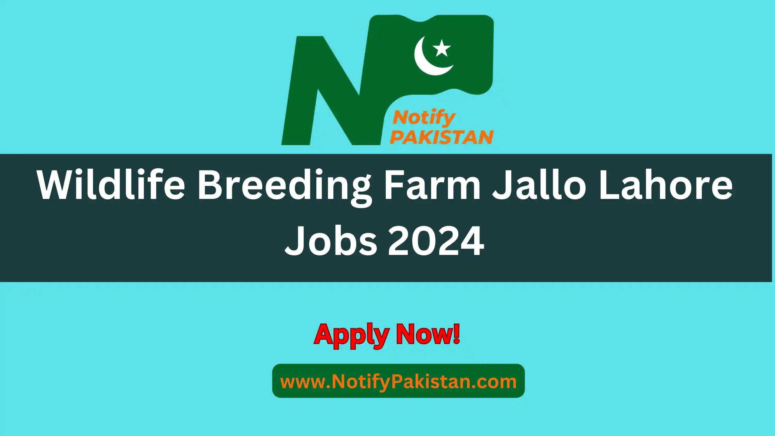 Wildlife Breeding Farm Jallo Lahore Jobs 2024