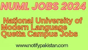 NUML Quetta Campus Jobs 2024