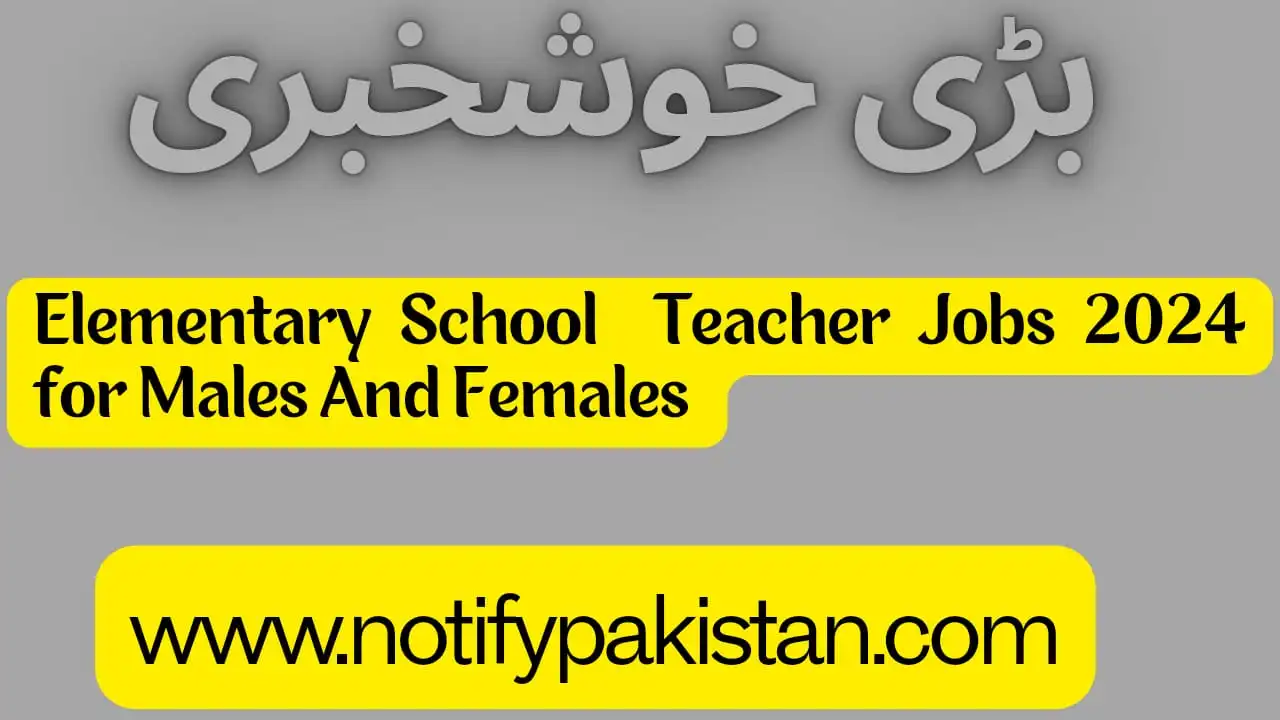 Elementary School Teacher Jobs 2024