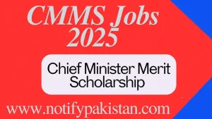 Chief Minister Merit Scholarship CMMS Program 2025