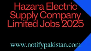 Hazara Electric Supply Company Limited Jobs 2025