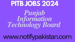 Punjab Information Technology Board PITB Jobs 2024