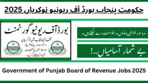 Government of Punjab Board of Revenue Jobs 2025