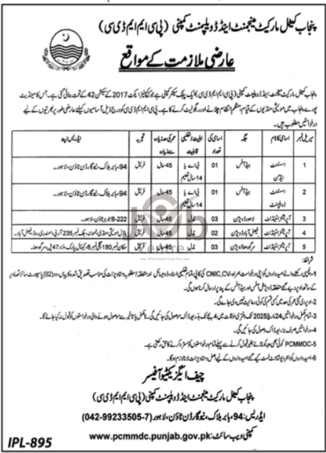 Punjab Cattle Market Management and Development Company Jobs 2025 Today Advertisements