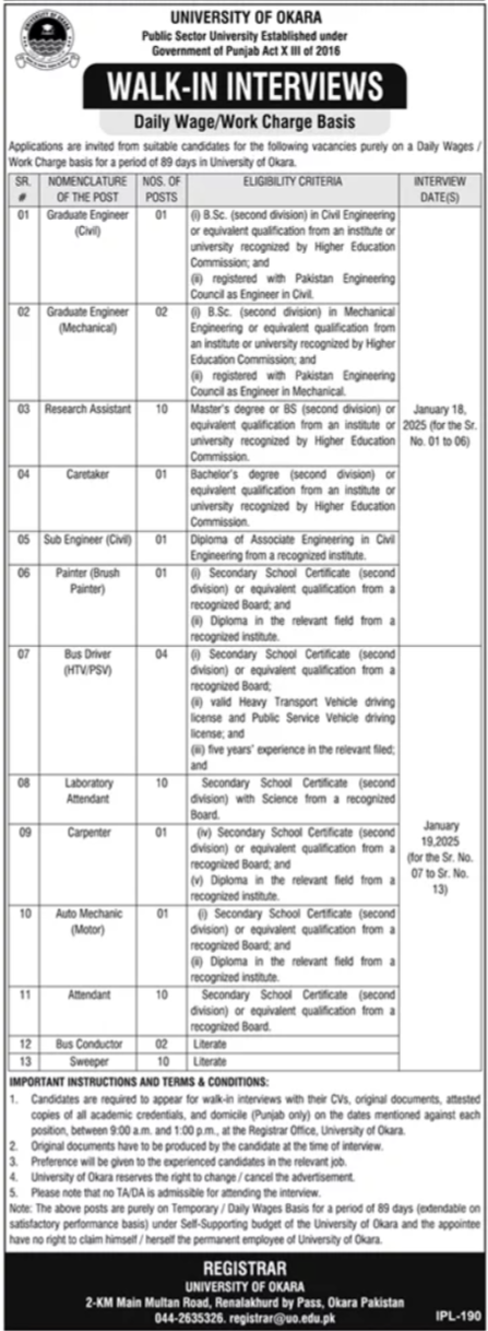 New University of Okara Jobs January 2025 Advertisement