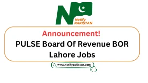 PULSE Board Of Revenue BOR Lahore Jobs 2025 Advertisement