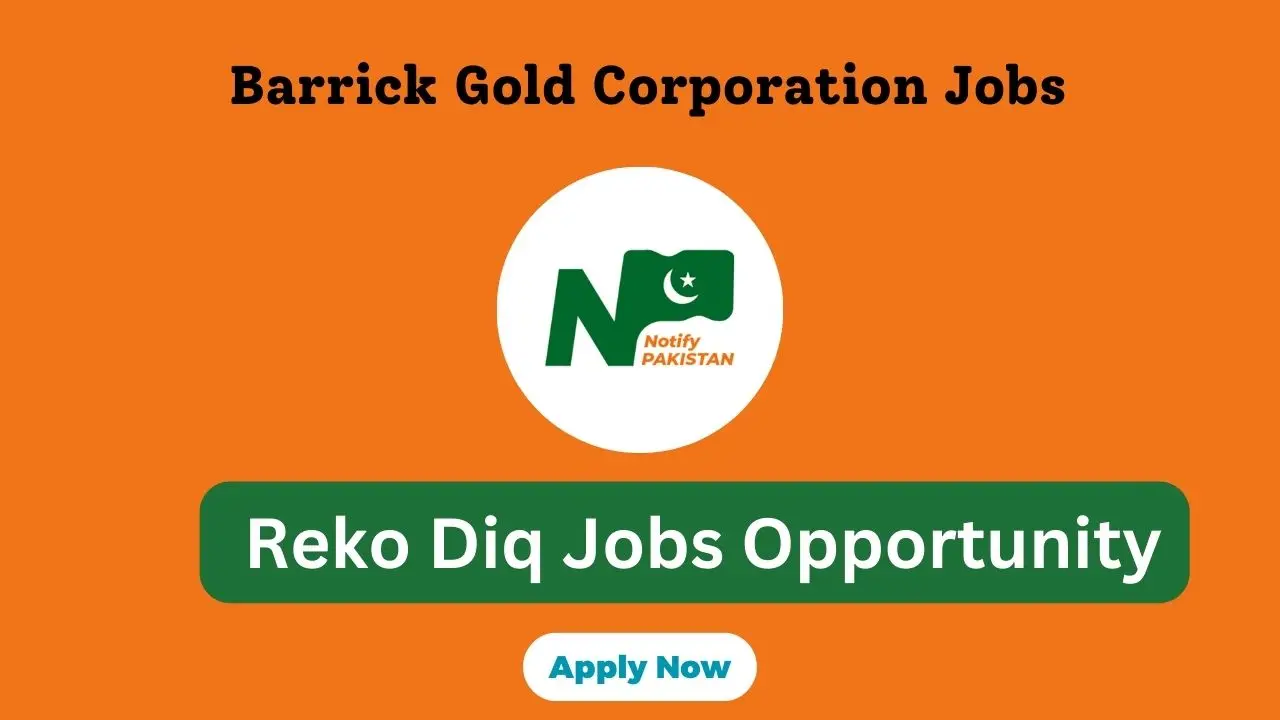 Reko Diq Mining Company Jobs