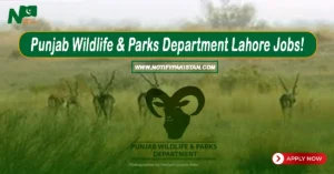 Wildlife Department Jobs