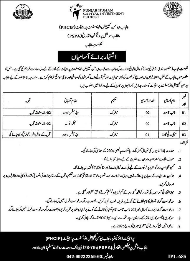 Punjab Human Capital Investment Project PHCIP Jobs 2025 Advertisement