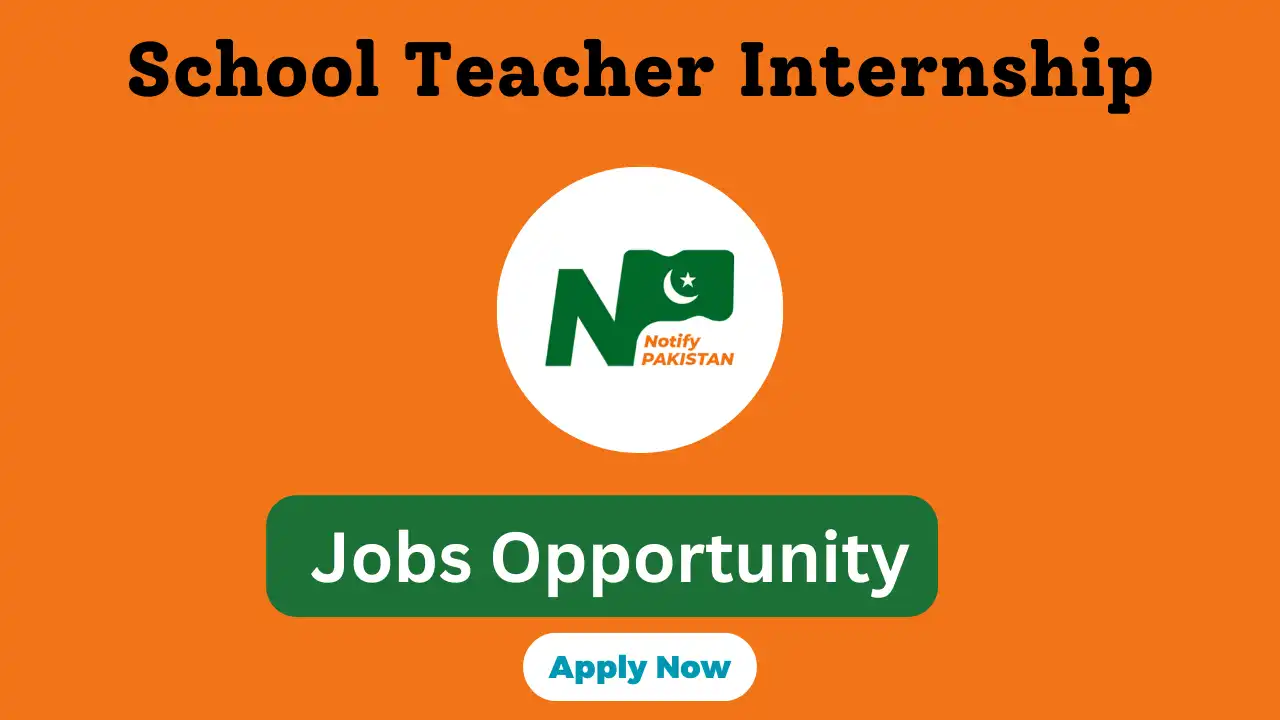 School Teacher Internship