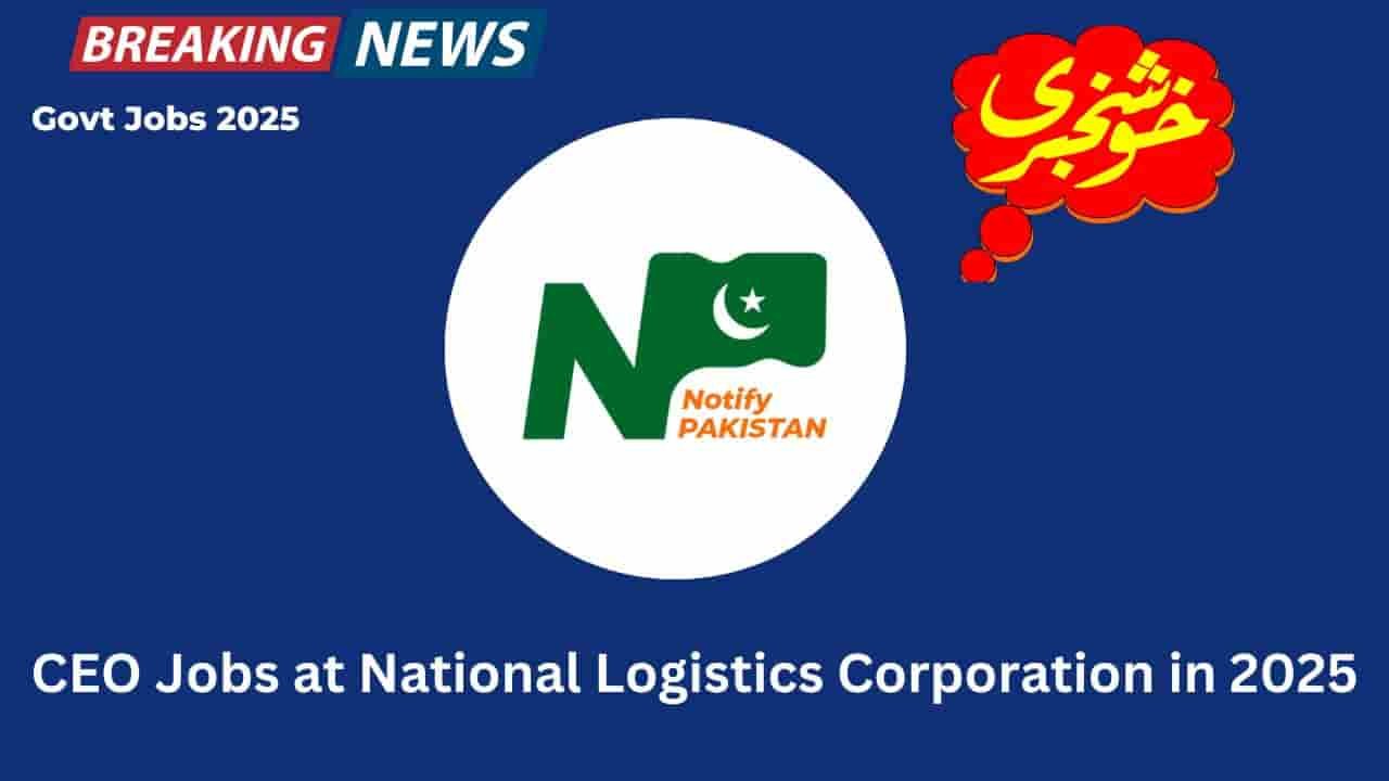 CEO Jobs at National Logistics Corporation in 2025