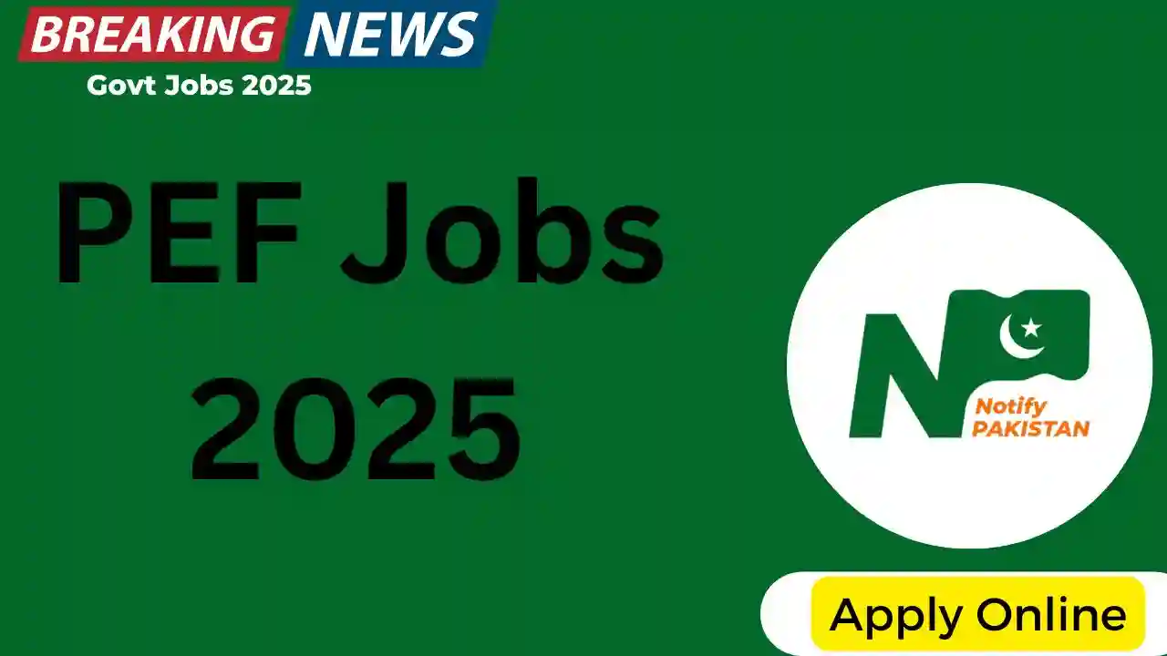 PEF Jobs 2025