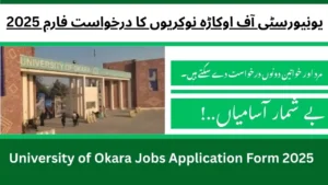 University of Okara Jobs Application Form 2025