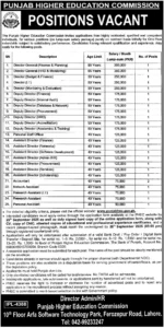 Punjab Higher Education Department Jobs 2025 Today Advertisement