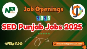 SED Punjab Jobs 2025