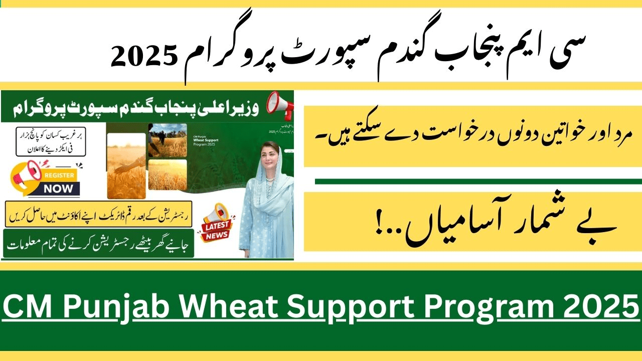 CM Punjab Wheat Support Program 2025