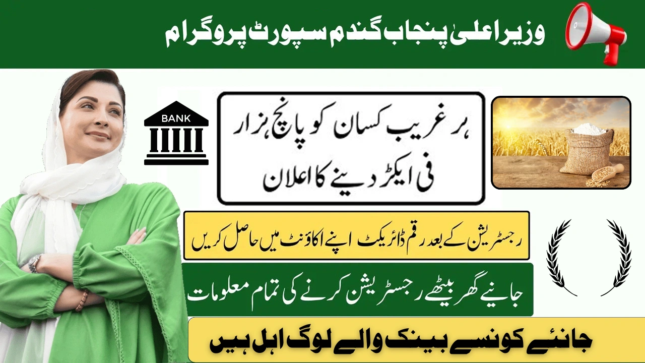 CM Punjab Wheat Support Program 2025 Advertisement