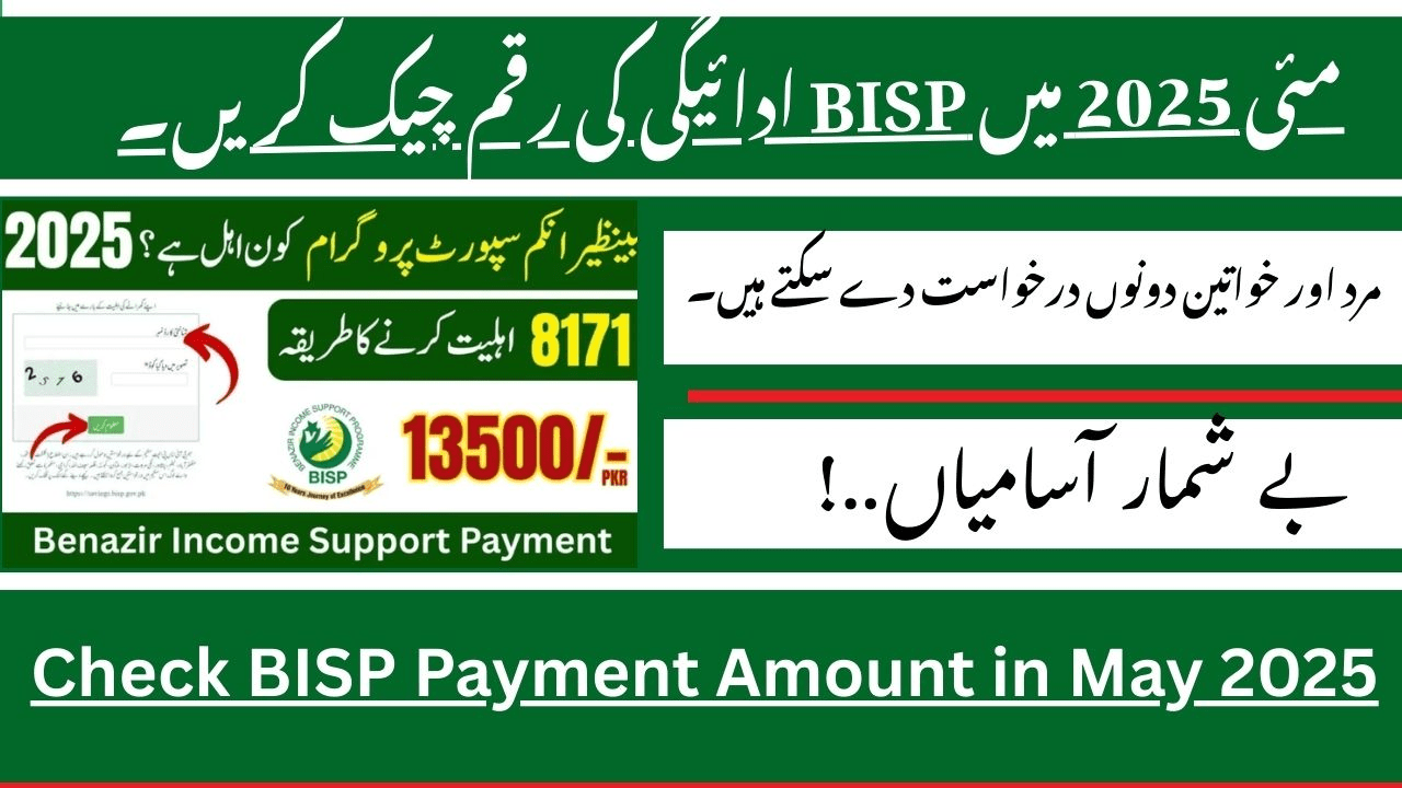 Check BISP Payment Amount in May 2025 Advertisement