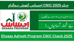 Ehsaas Aghosh Program CNIC Check 2025