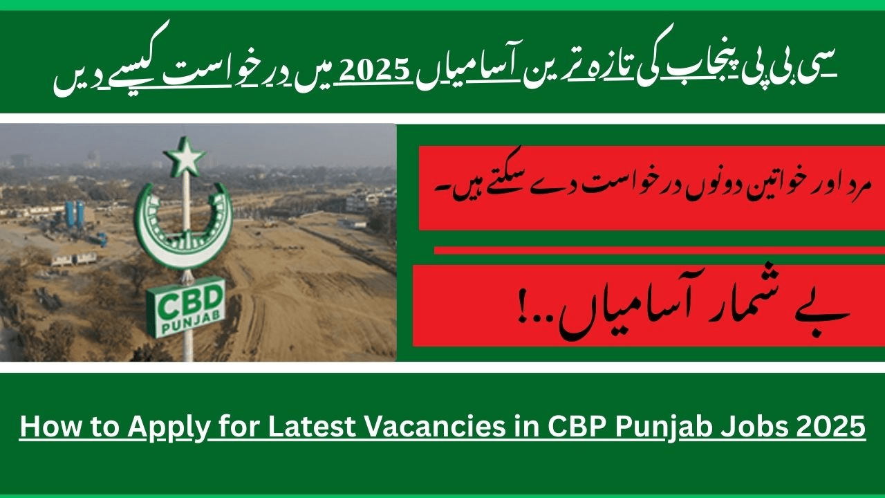 How to Apply for Latest Vacancies in CBP Punjab Jobs 2025