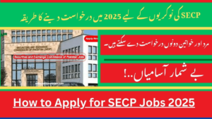 How to Apply for SECP Jobs 2025