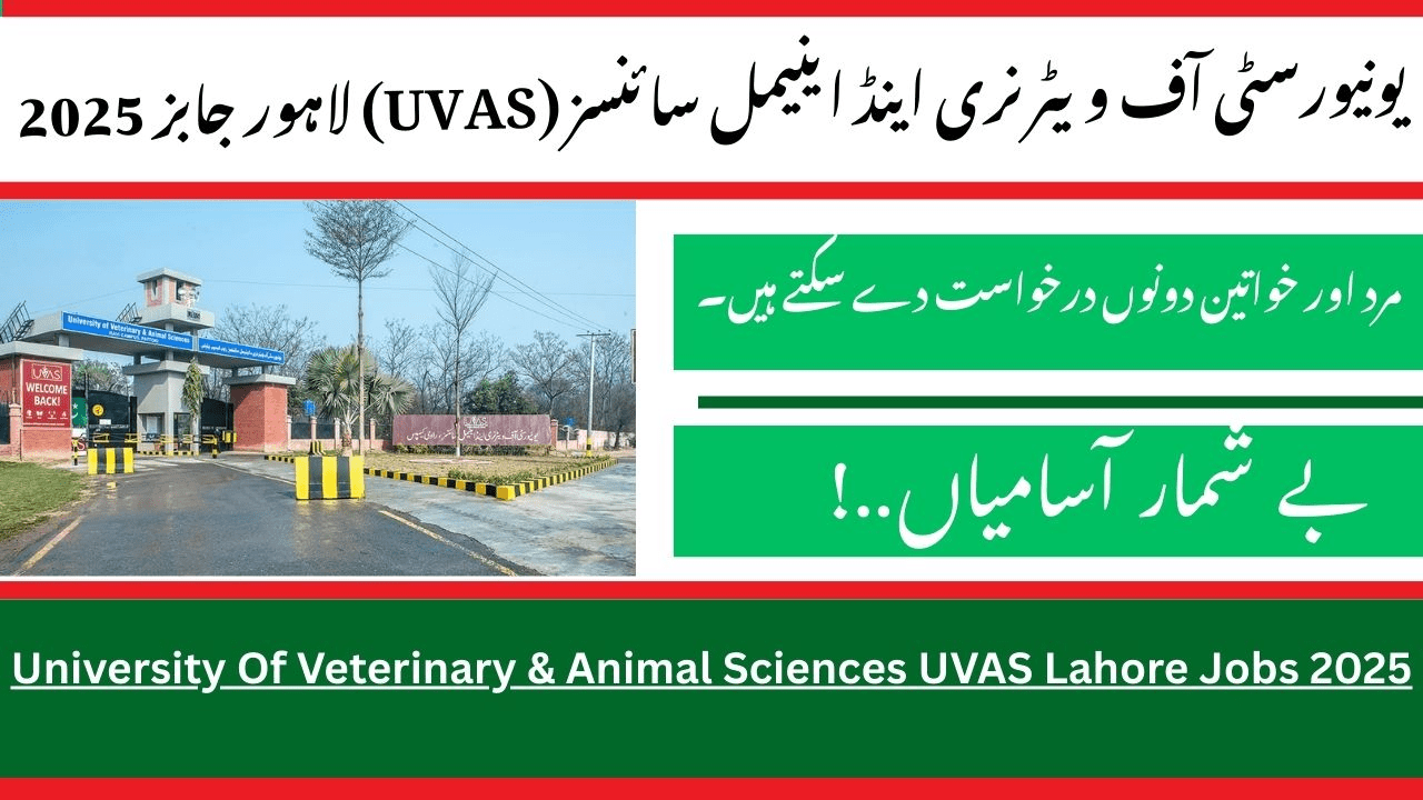 University Of Veterinary & Animal Sciences UVAS Lahore Jobs 2025