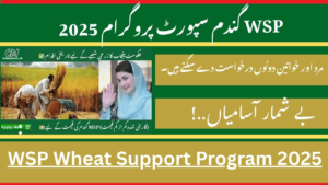 WSP Wheat Support Program 2025