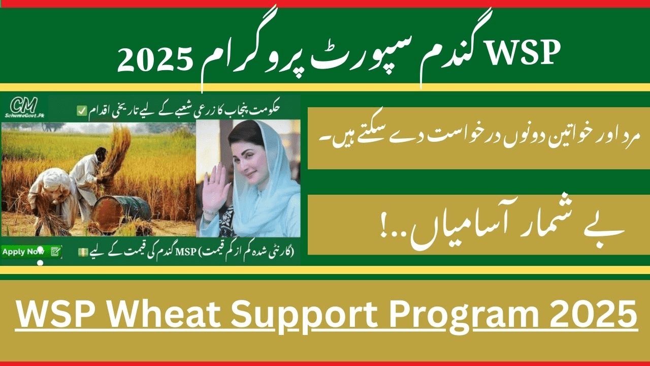 WSP Wheat Support Program 2025