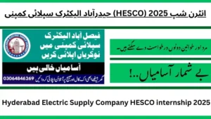 Hyderabad Electric Supply Company HESCO internship 2025