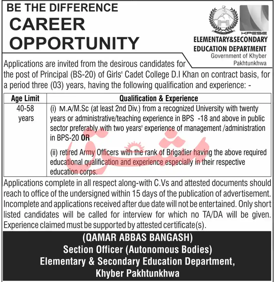 Elementary and Secondary Education Department KPK Jobs 2025 Today Advertisement