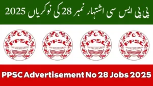 PPSC Advertisement No 28 Jobs 2025