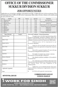Commissioner Office Sukkur Region Jobs 2026 Advertisement