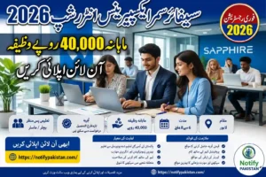 Sapphire Summer Experience Internship 2026 